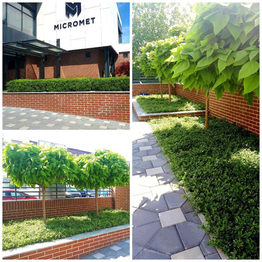 Micromet